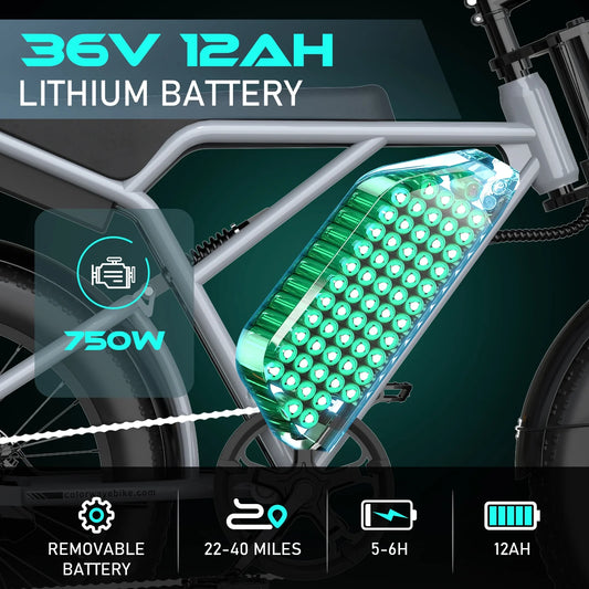 750W Electric Bike for Adults,20X4.0 Fat Tire Off-Road E Bike,36V/12Ah Battery Snow Beach Mountain Bike for Outdoor Cycling E Bike UL2849