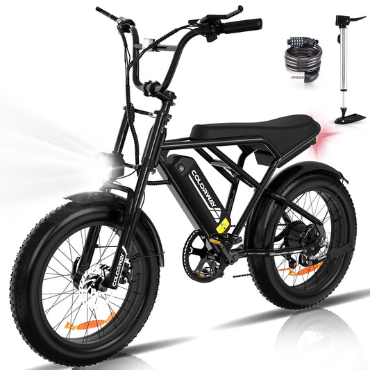 750W Electric Bike for Adults,20X4.0 Fat Tire Off-Road E Bike,36V/12Ah Battery Snow Beach Mountain Bike for Outdoor Cycling E Bike UL2849