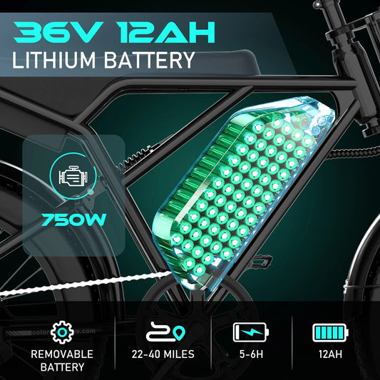 750W Electric Bike for Adults,20X4.0 Fat Tire Off-Road E Bike,36V/12Ah Battery Snow Beach Mountain Bike for Outdoor Cycling E Bike UL2849
