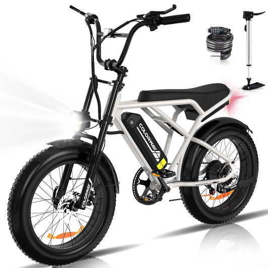 750W Electric Bike for Adults,20X4.0 Fat Tire Off-Road E Bike,36V/12Ah Battery Snow Beach Mountain Bike for Outdoor Cycling E Bike UL2849